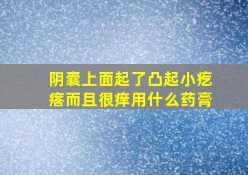 阴囊上面起了凸起小疙瘩而且很痒用什么药膏