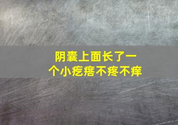 阴囊上面长了一个小疙瘩不疼不痒