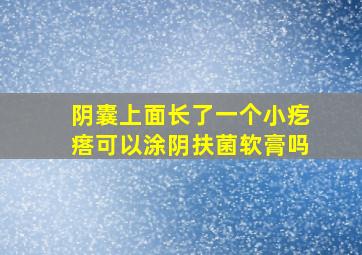 阴囊上面长了一个小疙瘩可以涂阴扶菌软膏吗