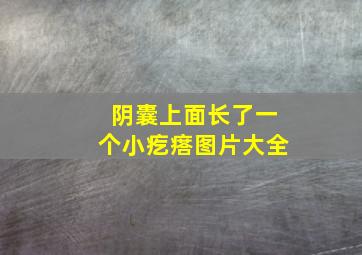 阴囊上面长了一个小疙瘩图片大全