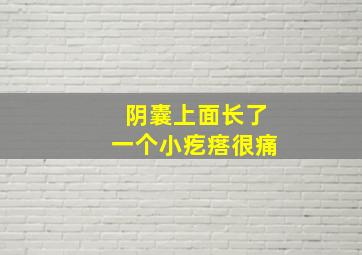 阴囊上面长了一个小疙瘩很痛