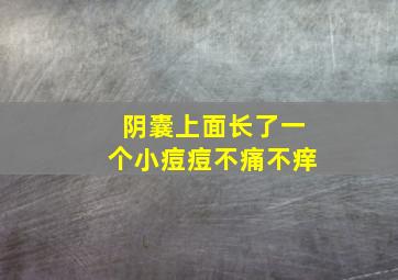 阴囊上面长了一个小痘痘不痛不痒