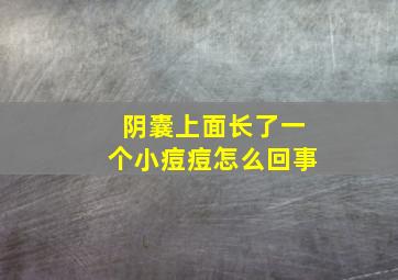 阴囊上面长了一个小痘痘怎么回事