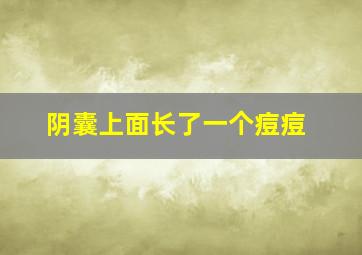 阴囊上面长了一个痘痘