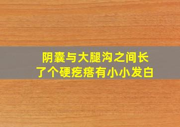 阴囊与大腿沟之间长了个硬疙瘩有小小发白