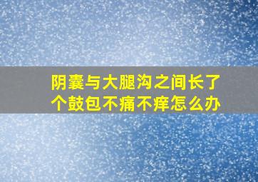 阴囊与大腿沟之间长了个鼓包不痛不痒怎么办