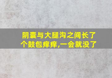 阴囊与大腿沟之间长了个鼓包痒痒,一会就没了