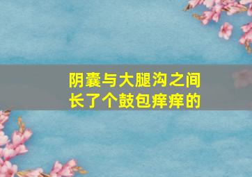 阴囊与大腿沟之间长了个鼓包痒痒的