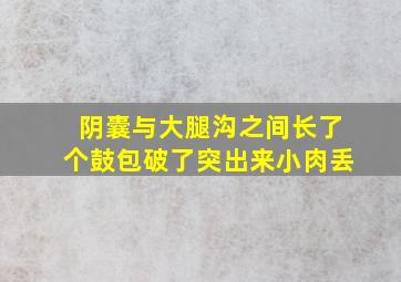 阴囊与大腿沟之间长了个鼓包破了突出来小肉丢