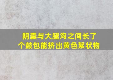 阴囊与大腿沟之间长了个鼓包能挤出黄色絮状物