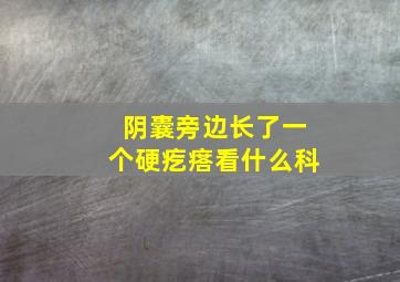 阴囊旁边长了一个硬疙瘩看什么科