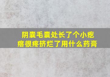 阴囊毛囊处长了个小疙瘩很疼挤烂了用什么药膏