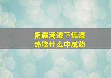 阴囊潮湿下焦湿热吃什么中成药