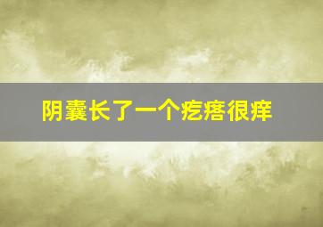 阴囊长了一个疙瘩很痒