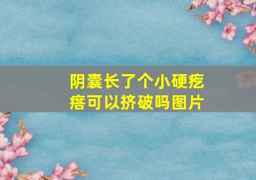 阴囊长了个小硬疙瘩可以挤破吗图片