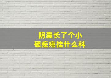 阴囊长了个小硬疙瘩挂什么科