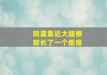 阴囊靠近大腿根部长了一个疙瘩