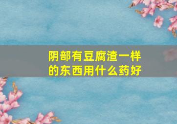 阴部有豆腐渣一样的东西用什么药好