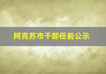 阿克苏市干部任前公示