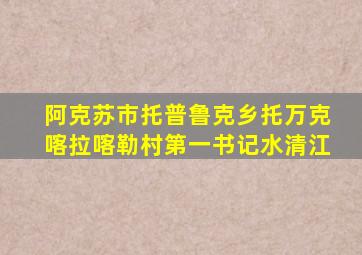 阿克苏市托普鲁克乡托万克喀拉喀勒村第一书记水清江