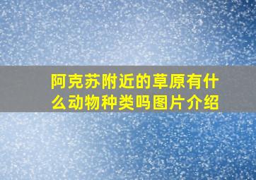 阿克苏附近的草原有什么动物种类吗图片介绍