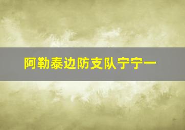 阿勒泰边防支队宁宁一