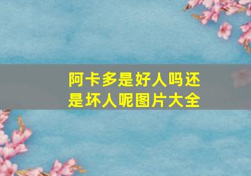 阿卡多是好人吗还是坏人呢图片大全