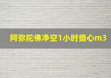 阿弥陀佛净空1小时摄心m3