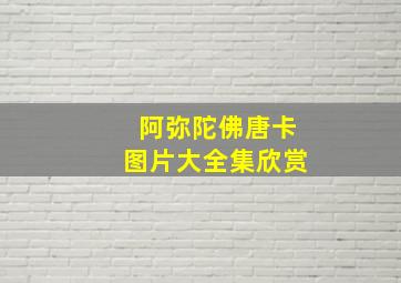 阿弥陀佛唐卡图片大全集欣赏