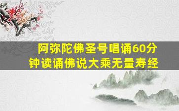 阿弥陀佛圣号唱诵60分钟读诵佛说大乘无量寿经