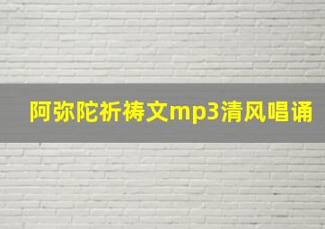 阿弥陀祈祷文mp3清风唱诵