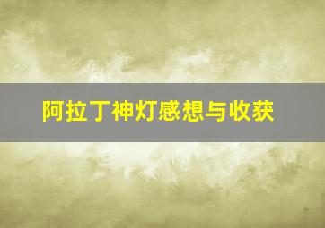 阿拉丁神灯感想与收获