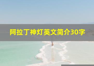 阿拉丁神灯英文简介30字