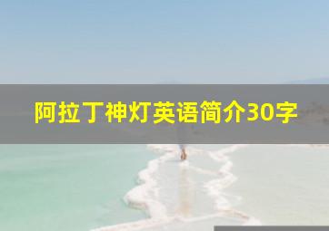 阿拉丁神灯英语简介30字