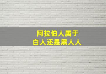 阿拉伯人属于白人还是黑人人