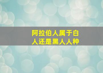 阿拉伯人属于白人还是黑人人种