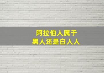 阿拉伯人属于黑人还是白人人