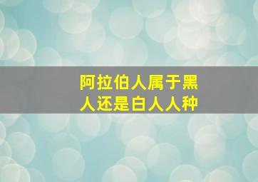 阿拉伯人属于黑人还是白人人种