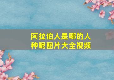 阿拉伯人是哪的人种呢图片大全视频