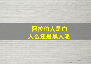 阿拉伯人是白人么还是黑人呢