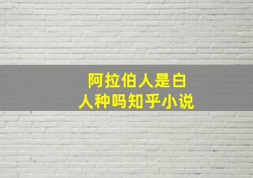 阿拉伯人是白人种吗知乎小说