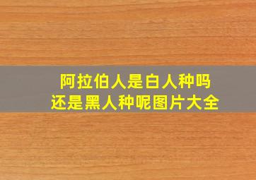 阿拉伯人是白人种吗还是黑人种呢图片大全