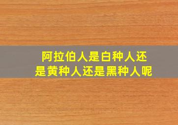 阿拉伯人是白种人还是黄种人还是黑种人呢