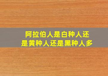 阿拉伯人是白种人还是黄种人还是黑种人多