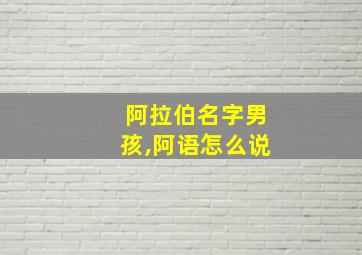 阿拉伯名字男孩,阿语怎么说