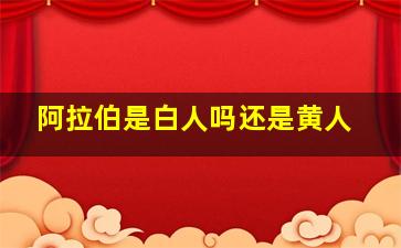 阿拉伯是白人吗还是黄人