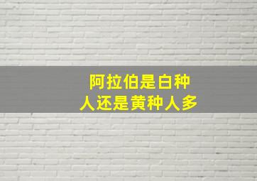 阿拉伯是白种人还是黄种人多