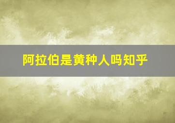 阿拉伯是黄种人吗知乎