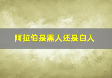 阿拉伯是黑人还是白人