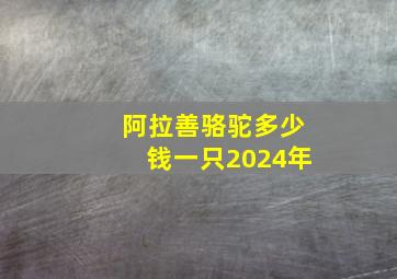 阿拉善骆驼多少钱一只2024年